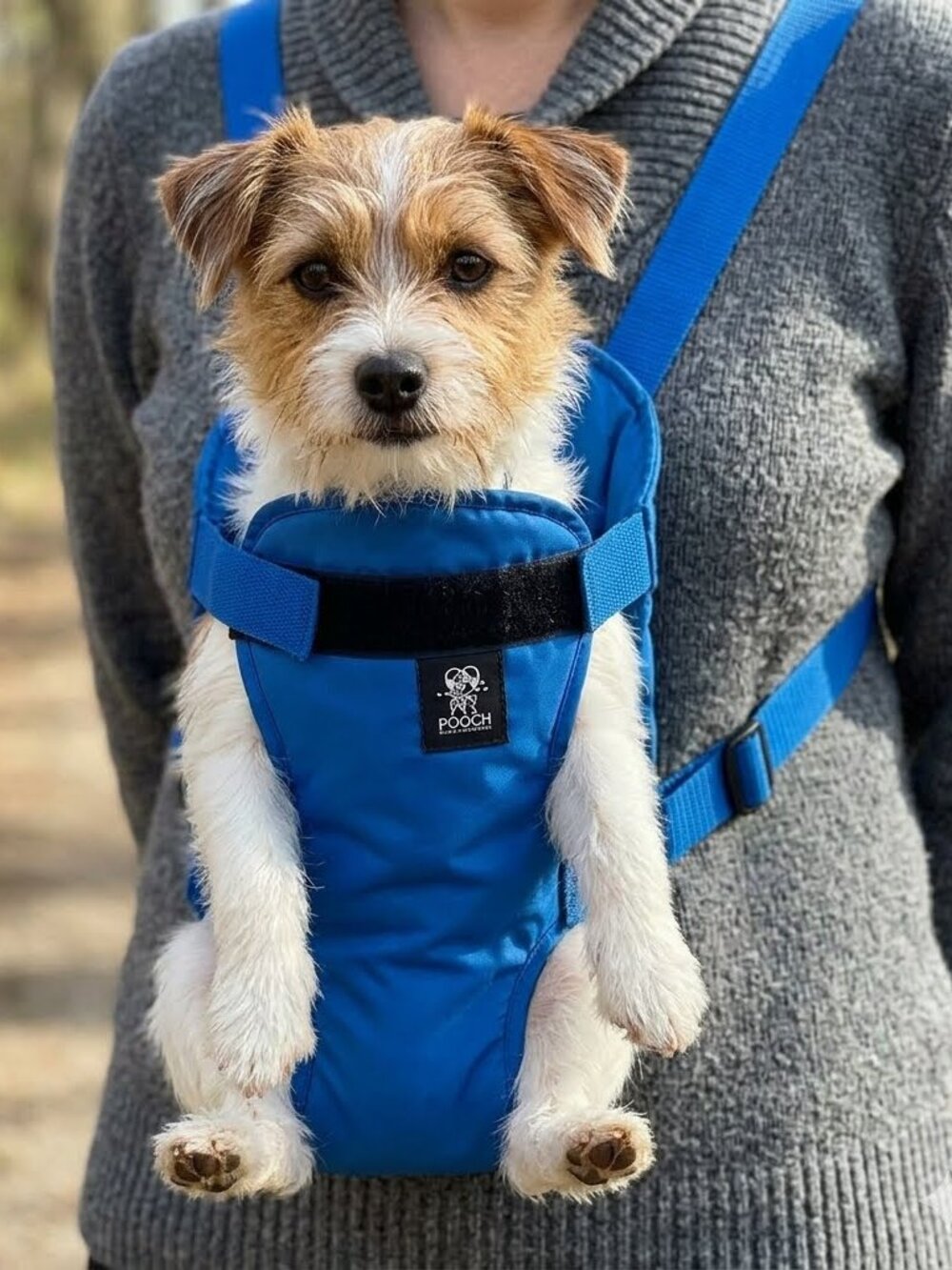 Small Pet Dog Pouch Front Body Carrier Blue Adjustable Straps
